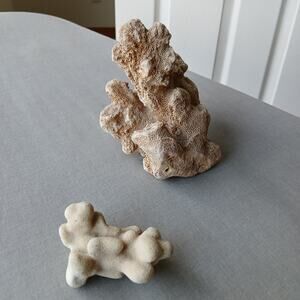 2-piece natural sea coral reef nautical collectibles aquarium tank 5" & 2"